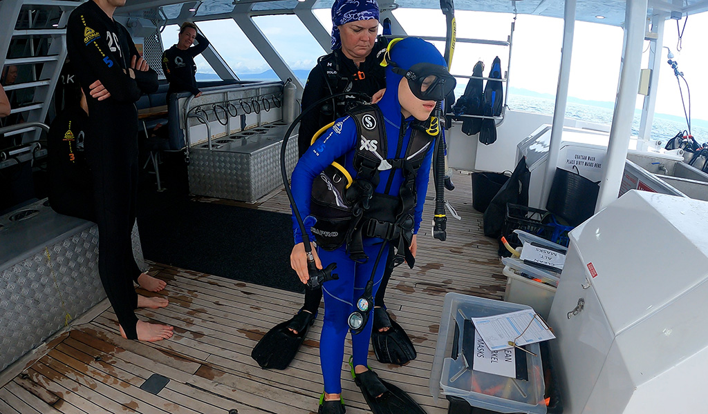 Box Jellyfish Cairns