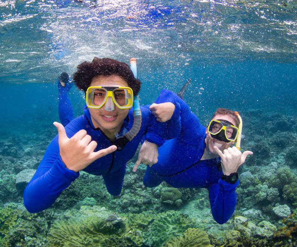Cairns Liveaboard Snorkelling