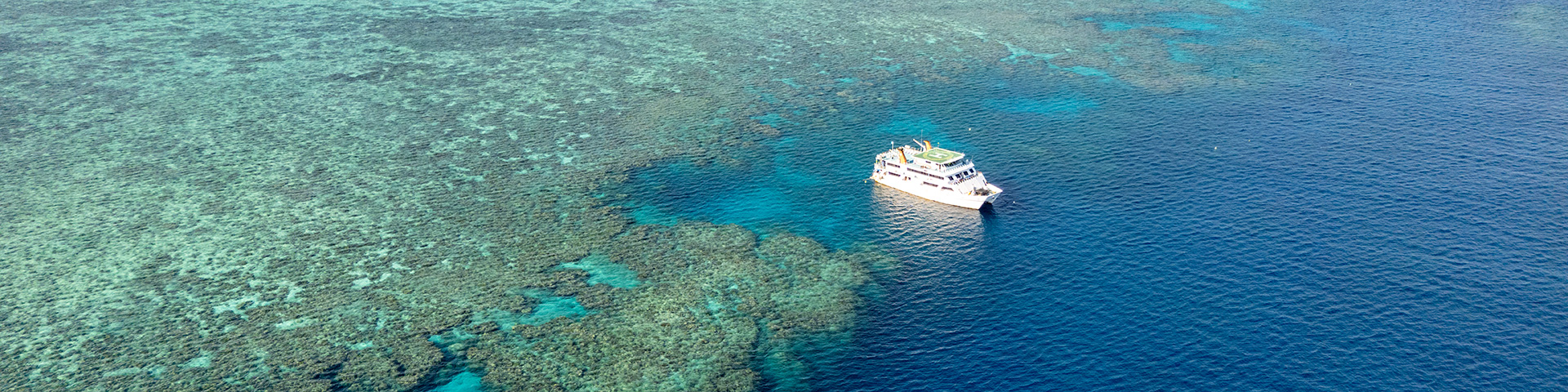 Cairns Liveaboard Snorkelling