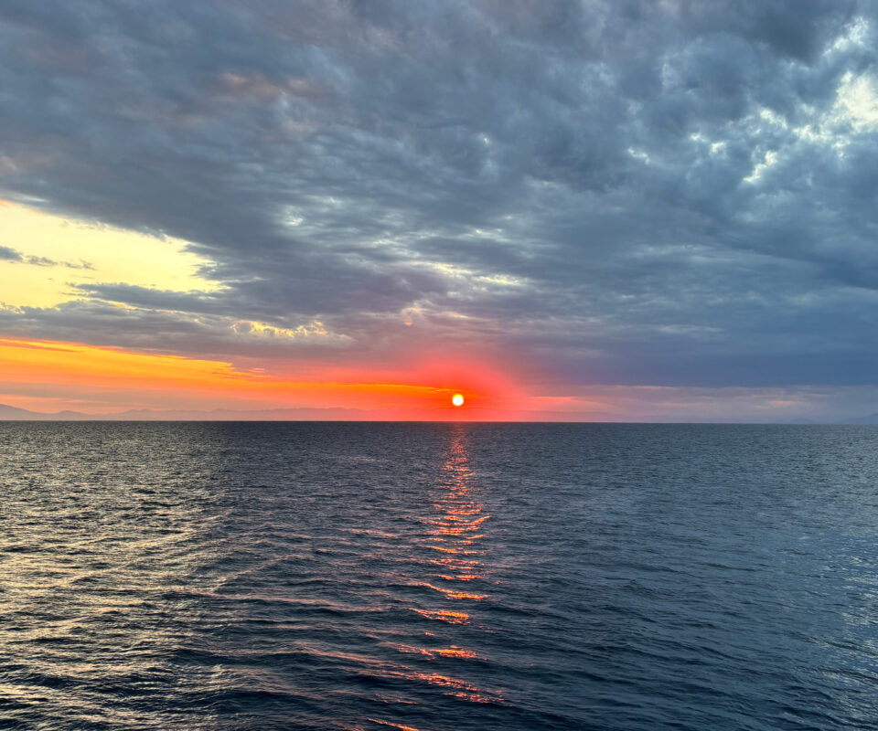 Cairns Liveaboard Snorkelling