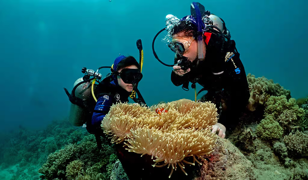 clown-fish-photo_jpg