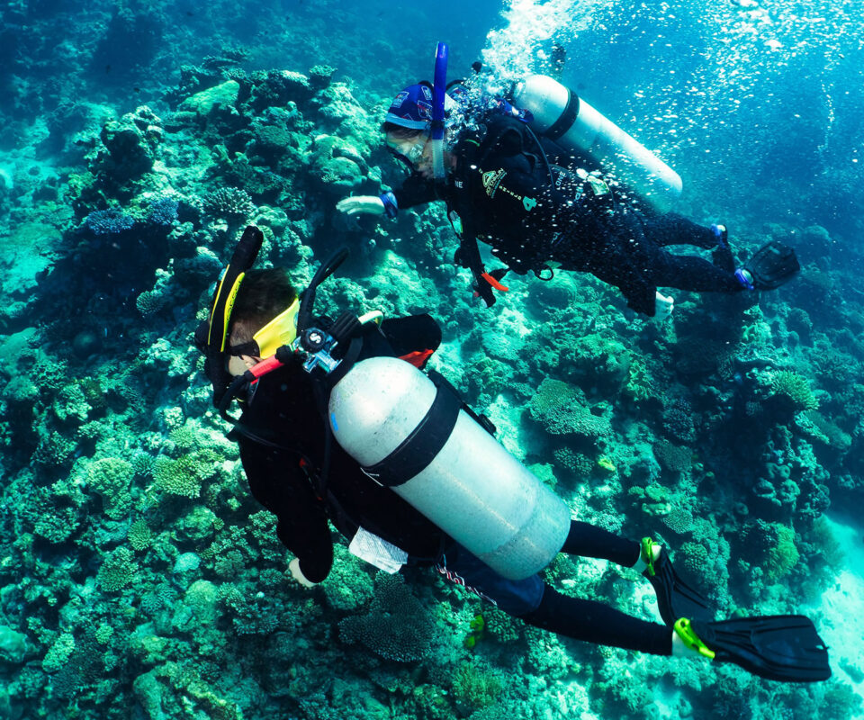 Diving Milln Reef, Three Sisters